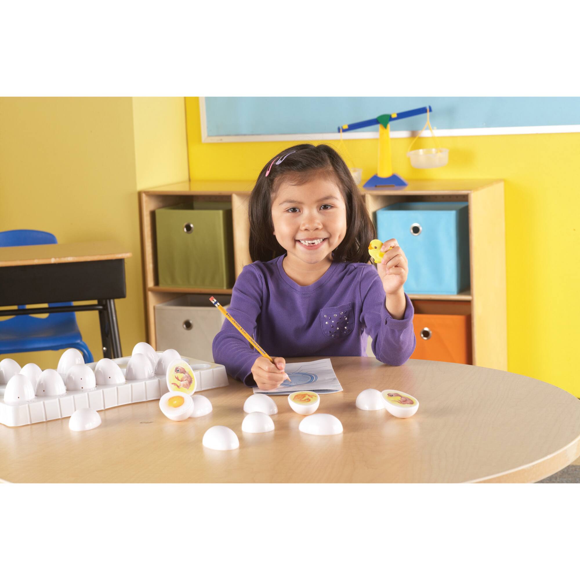 Learning Resources® Chick Life Cycle Exploration Set